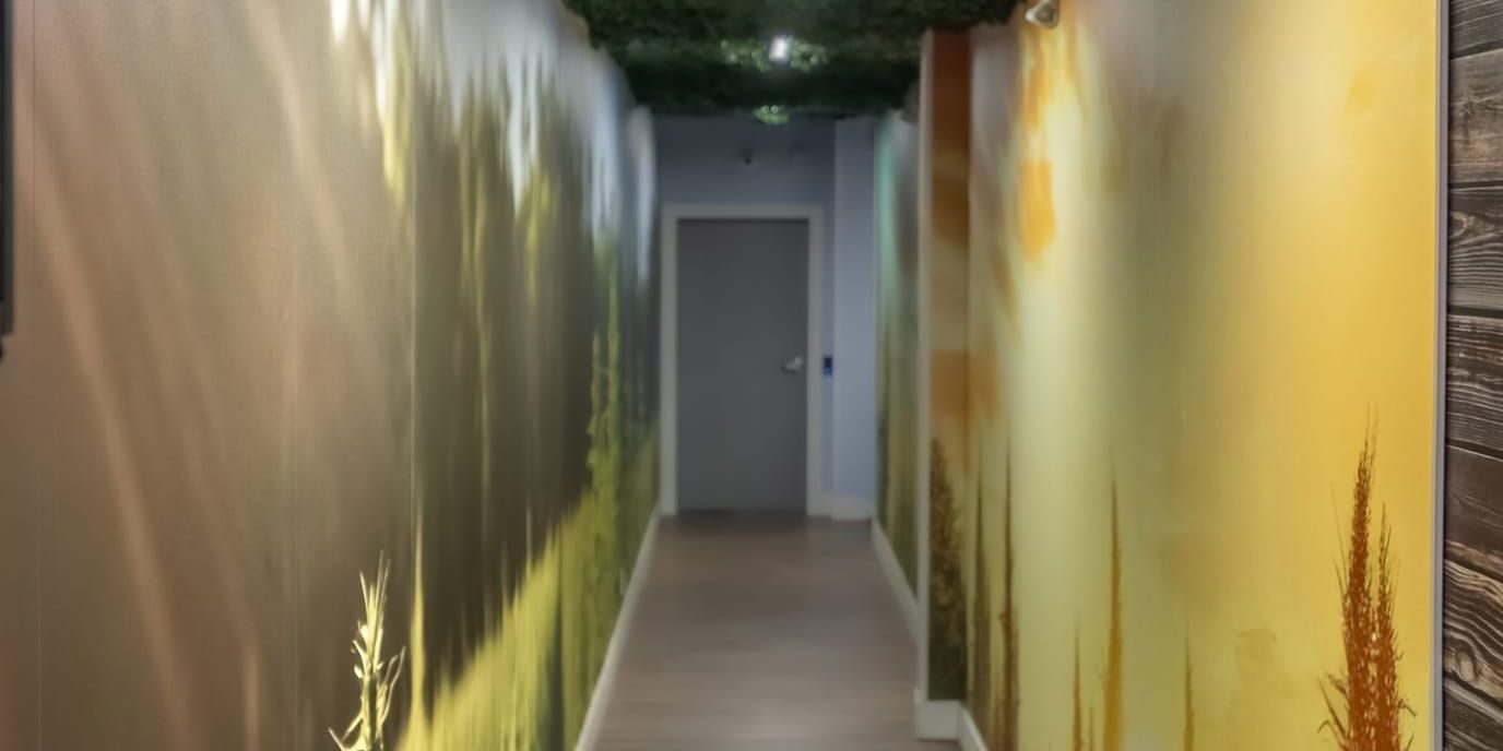 Hallway inside Farmers Choice dispensary with nature-themed wall murals
